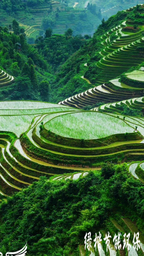 生態(tài)和環(huán)境規(guī)劃、可行性研究報告